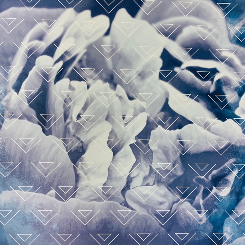 Scrapbook Paper - Picture 8 of 10